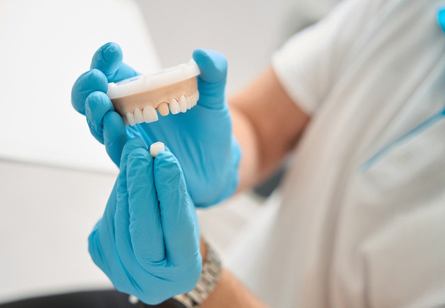 Dentist showing patient model of a dental crown